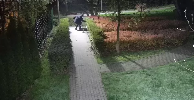 Pijani nastolatkowie w Zielonym Zakątku. Wezwano pogotowie