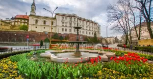 Tulipany pod Teatrem Polskim