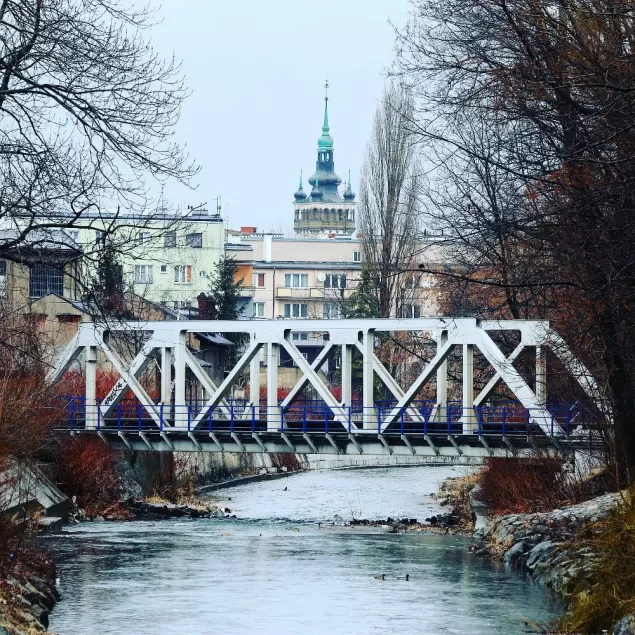 bielskobiała,bielsko,biała,rzeka,most,ratusz,srodmiescie,1maja,sempolowskiej,park,zima,luty,odwil