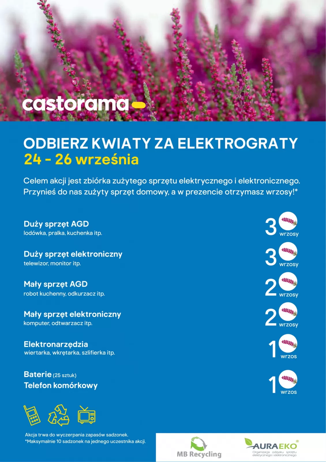 Kwiaty Za Elektrograty 2020 Castorama Auraeko Auraeko Organizacja Odzysku Sprzetu Elektrycznego I Elektronicznego