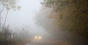 mgła