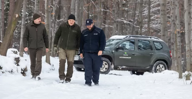 Wspólne działania leśników i policjantów, aby nie kradli choinek