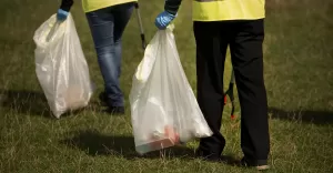 MZD uruchomił wyszukiwarkę dotyczącą utrzymywania utrzymania ulic w Bielsku-Białej