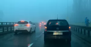 mgła