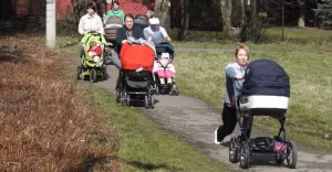 buggy, wózek, wózki, mama