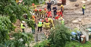 Interwencja służb ratunkowych przy ul. Cieszyńskiej w Bielsku-Białej - 23.08.2022