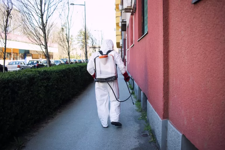 Dlaczego nie warto zwlekać z dezynsekcją? Przykłady z Warszawy.