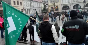 onr, demonstracja antyimigrancka