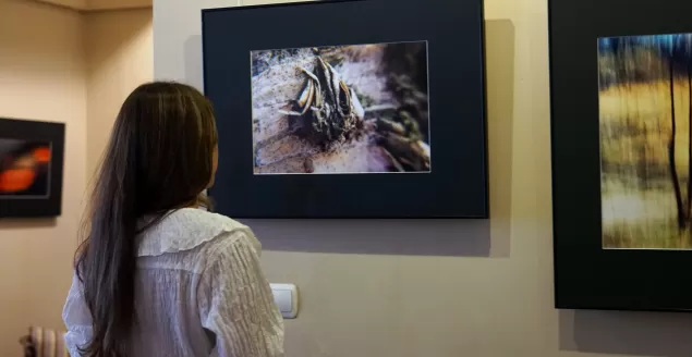 "Enigmatycznie" - wystawa fotografii Anity Nowak