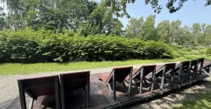 Plaża miejska nad Białą, czyli opalanie z widokiem na ścianę z rdestowca