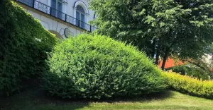 bielskobiala,bielsko,zamek,herb,niedziela,maj,słońce,ciepło,ilovebb,fotodnia,instagram