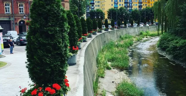 bielskobiała,bielsko,rzeka,biała,placratuszowy,osiedle,śródmiejskie,kwiaty,lato,lipiec,fotodnia