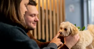 O czym warto pamiętać przy adopcji psa? 7 wskazówek