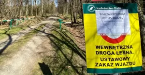 las, zakaz wstępu, koronawirus