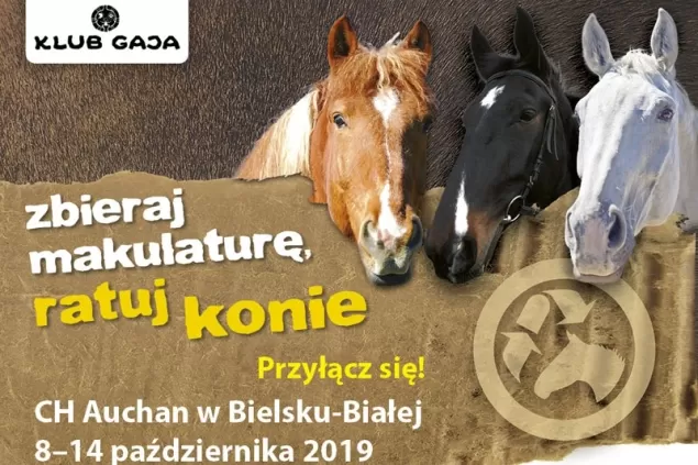 gaja
