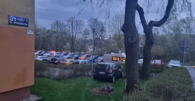 Wypadł z drogi i skosił żywopłot. Wydmuchał dwa promile