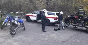 działania bezpieczny las
