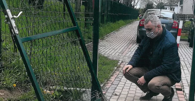 Zielony zakątek