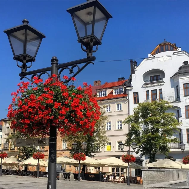 starówka,lato,bielskobiala,kamienice,słońce,rynek,bielsko,ilovebb,fotodnia,instagram
