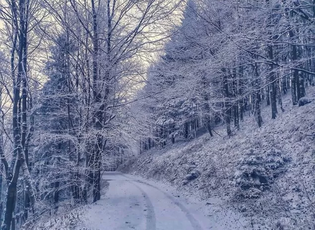 Bielsko,BielskoBiała,Beskidy,BeskidŚląski,Klimczok,Listopad,Zima,LoveBB,fotodnia,instagram