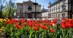 Bielsko-Biała kwitnie na wiosnę