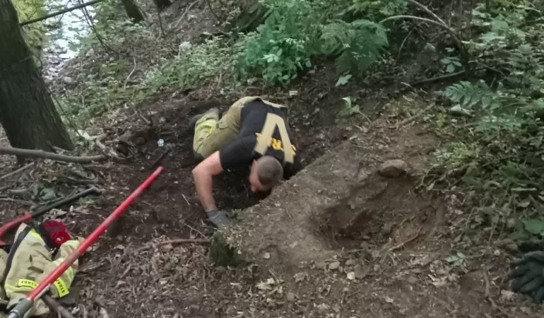 Bielscy bohaterowie! Strażacy ratują psa uwięzionego w kanale