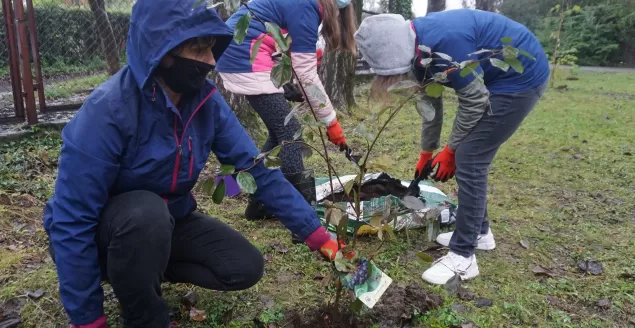 Święto Drzewa 2020 w bielskiej SP nr 27