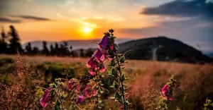 Beskidy,Klinczok,WschódSłońca,fotodnia,instagram