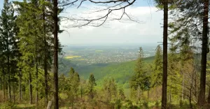 krajobraz, szyndzielnia, góry,