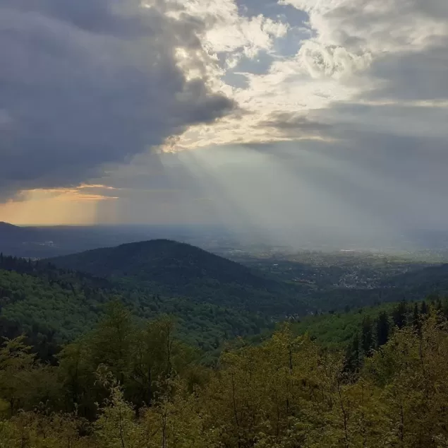 PocztowkazBielska,Bielsko,BielskoBiała,PocztowkazBielska,Beskidy,fotodnia,instagram