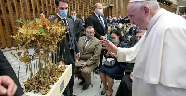 Dęby pobłogosławione przez papieża Franciszka - spotkanie w Rzymie - 10.2021
