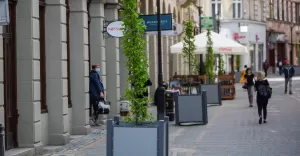 Dużej wielkości graby ozdobią w tym roku ul. 11 Listopada