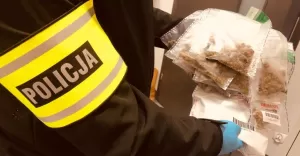 Prawie kilogram narkotyków miał w swoim mieszkaniu 23-letni bielszczanin