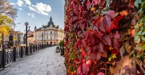 Bielsko-Biała jesienią - 22.10.2021