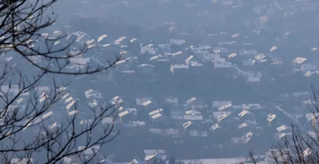 smog, lipnik