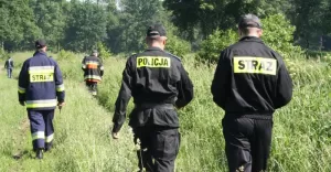 Akcja poszukiwawcza