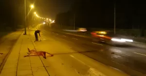 Potrącenie dzika na al. Andersa