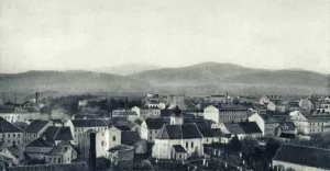 Wycieczki Stowarzyszenia Olszówka