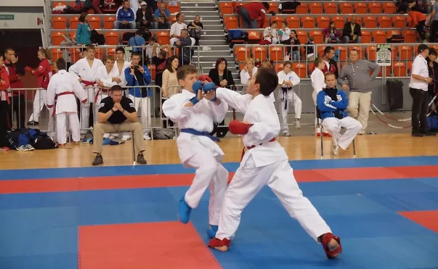 karate bielsko