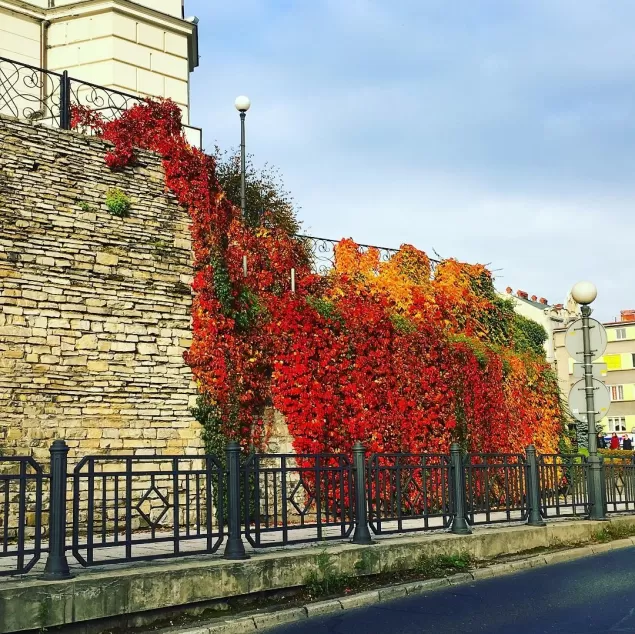 bielskobiała,bielsko,jesień,mur,zamek,zamkowa,fotodnia,instagram