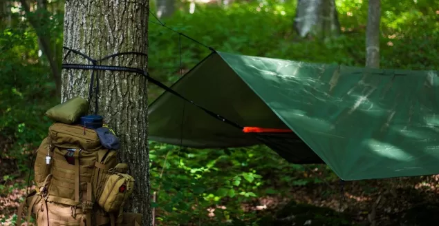 Bushcrafting