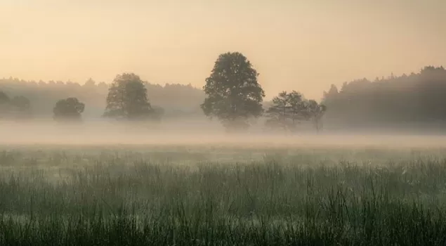 PocztowkazBielska,Bielsko,BielskoBiała,Jesień,Las,Poranek,LoveBB,LoveSilesia,fotodnia,instagram