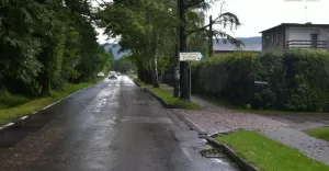 jasienica