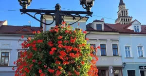 bielskobiala,bielsko,rynek,katedra,wieża,kwiaty,jesień,ilovebb,fotodnia,instagram