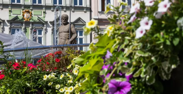 Rozpoczyna się głosowanie w konkursie "Terra Flower Power"