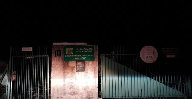 Śmierć na ogródkach działkowych - 4.03.2018