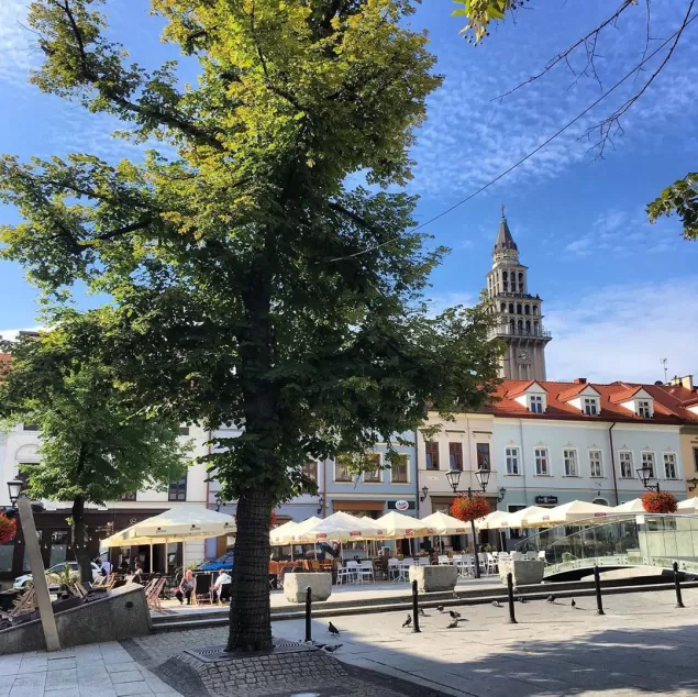 bielskobiala,bielsko,starowkabielsko,rynekbielsko,katedrabielsko,ilovebb,fotodnia,instagram