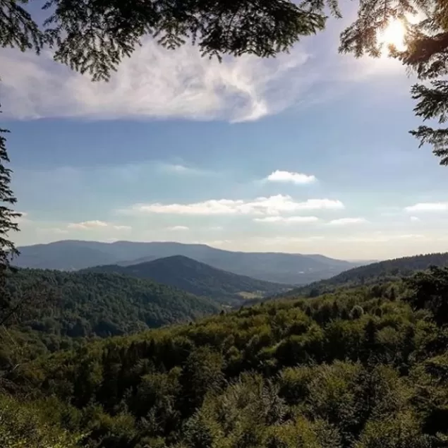 PocztowkazBielska,Bielsko,BielskoBiała,Beskidy,Lasy,LoveBB,LoveSilesia,fotodnia,instagram