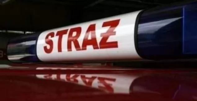 straż pożarna, ilustracja, ilustracyjne, pożar