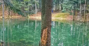 PowiatBielski,DzikieJezioro,28marca,fotodnia,instagram